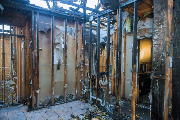 Professional Fire Damage Removal technician working in North Sarasota, FL